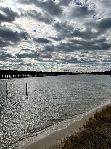 Willoughby Boat Club